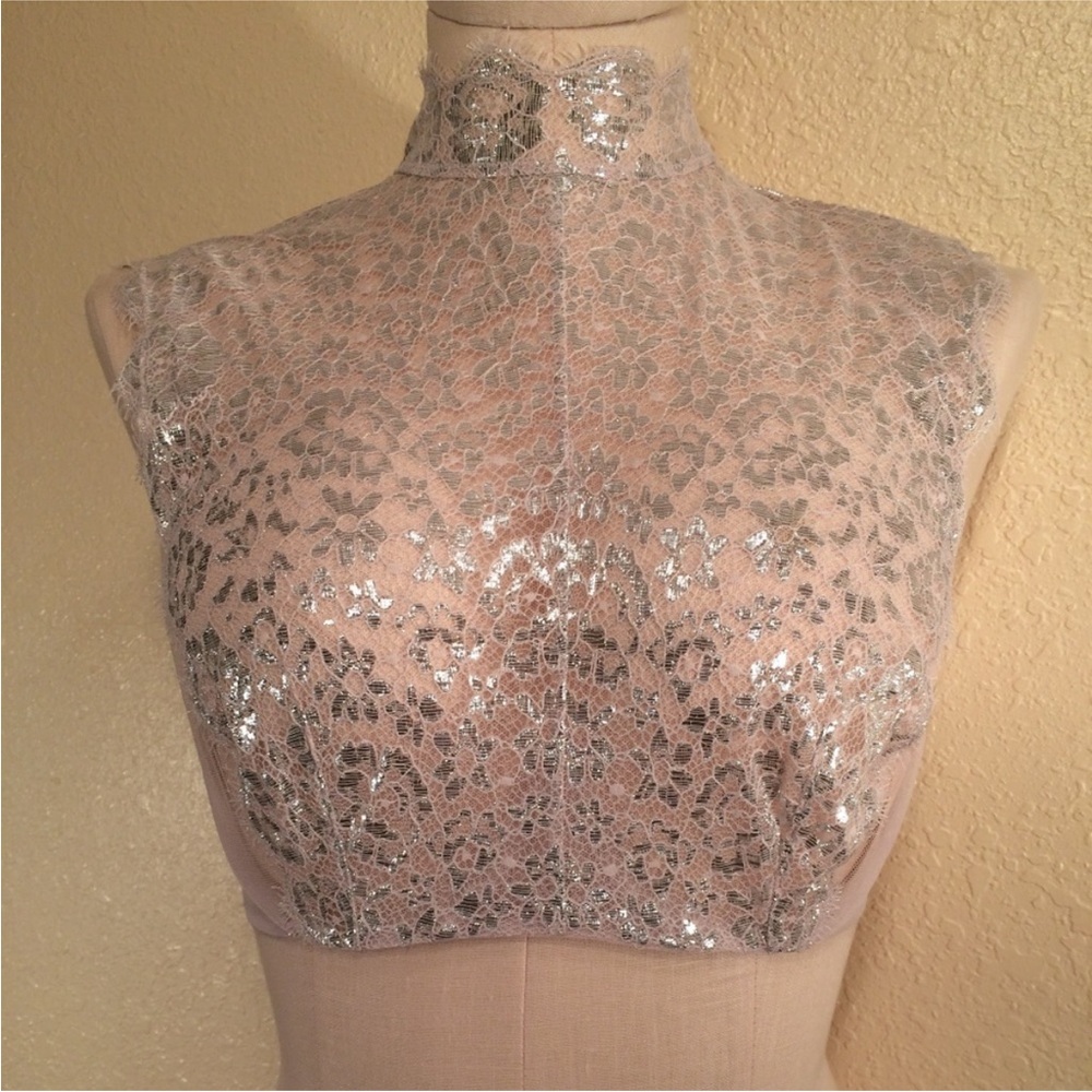 Victoria's Secret Dream Angels Pink and silver bra
